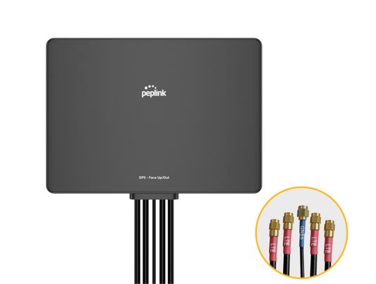 Slim 40G Router