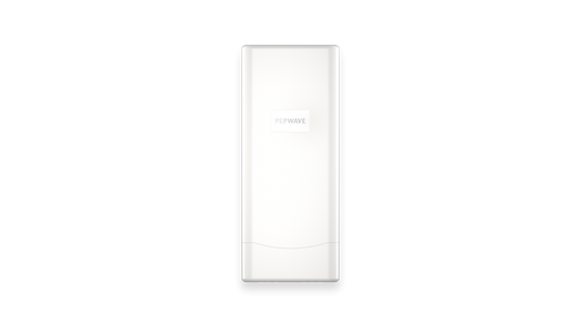 AP One Flex Access Point