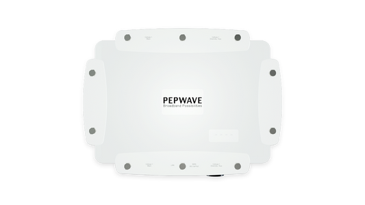 AP Pro 300M Access Point