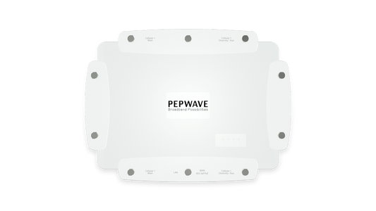 AP Pro Duo Access Point